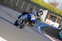 Lower Group Blue Bikes